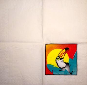 063 Papagei - 3-lagig - Duni - 24x24 cm - CS